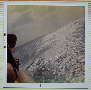 Ballardian: Ellinis Head