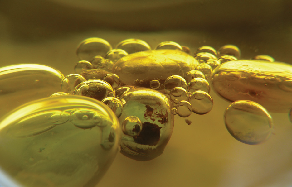 protocells
